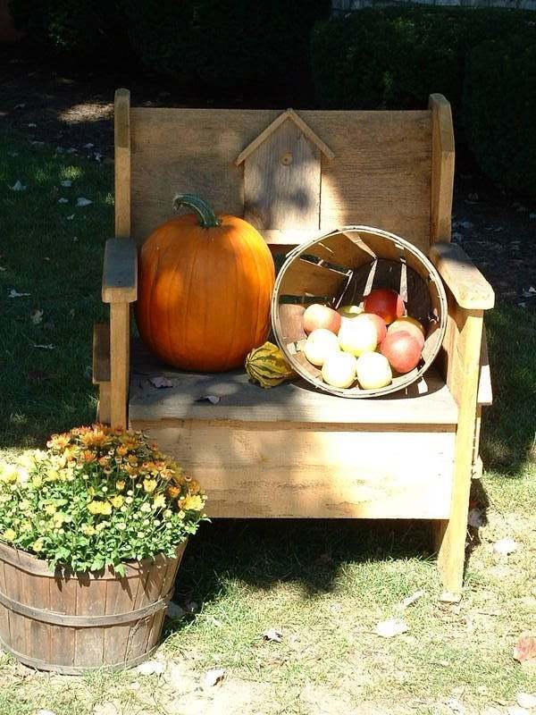 Banco de madeira para decoração de cesta de abóbora no jardim no outono