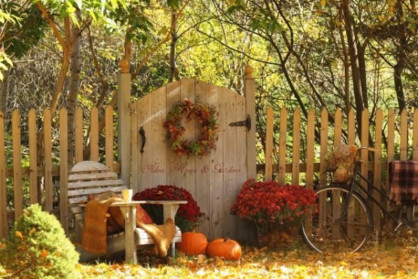 Cores outono - joias de jardim - claro, flores de outono - madeira vermelha