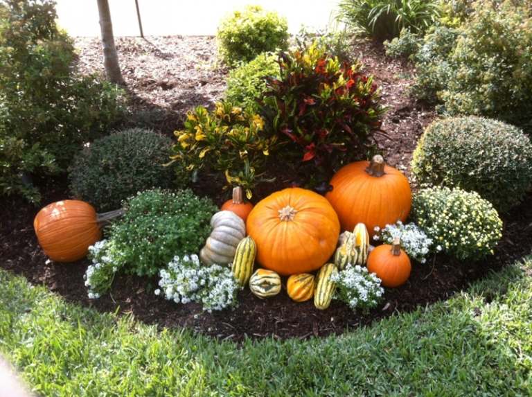 decorar no outono abóbora arbustos ideia de jardim