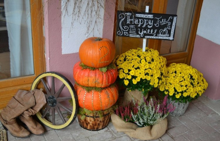 decorar flores de outono amarelo sinal de boas-vindas botas de roda