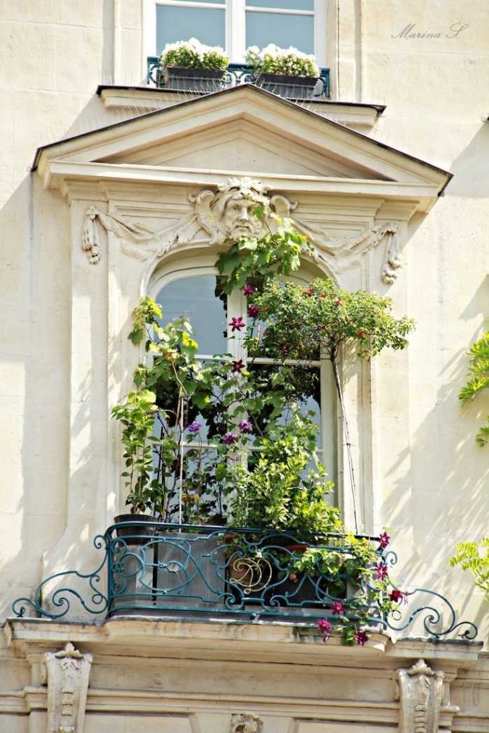 Francês-varanda-chão-ao-teto-janelas-portas-proteção contra queda-escovar-decorativas-plantas suspensas