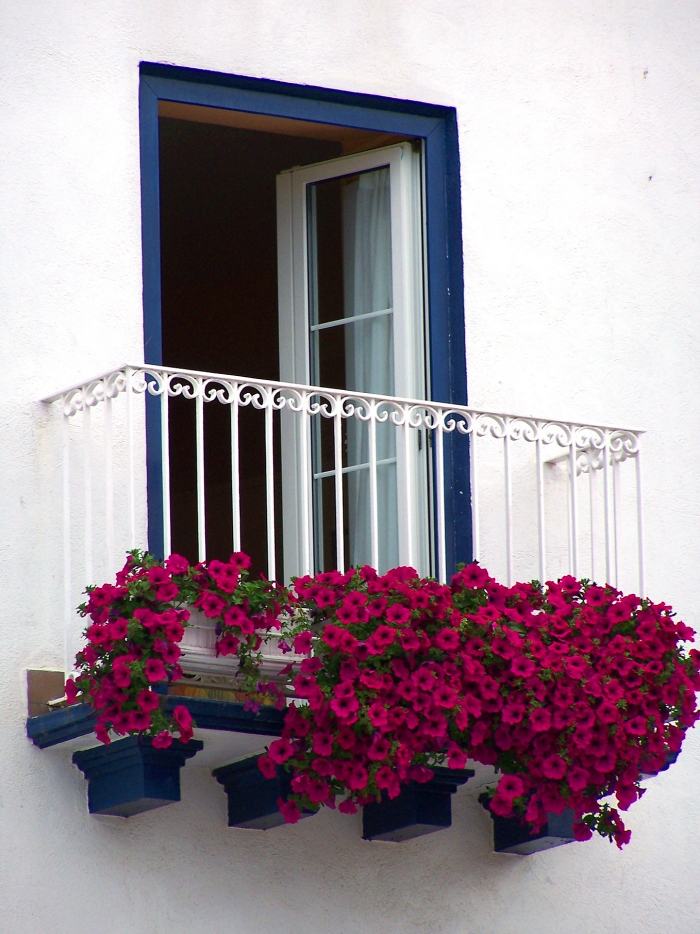 Grade da varanda - grades da janela - varanda francesa - flores - pequeno jardim