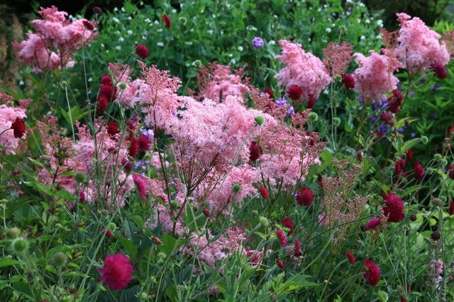 flores frescas jardim verão primavera idéias de design