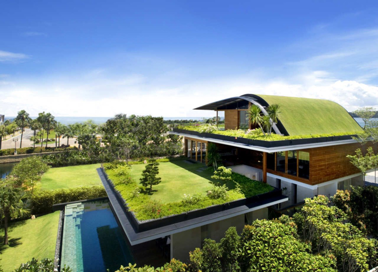 Casa com piscina na cobertura verde e interior com parede de vidro