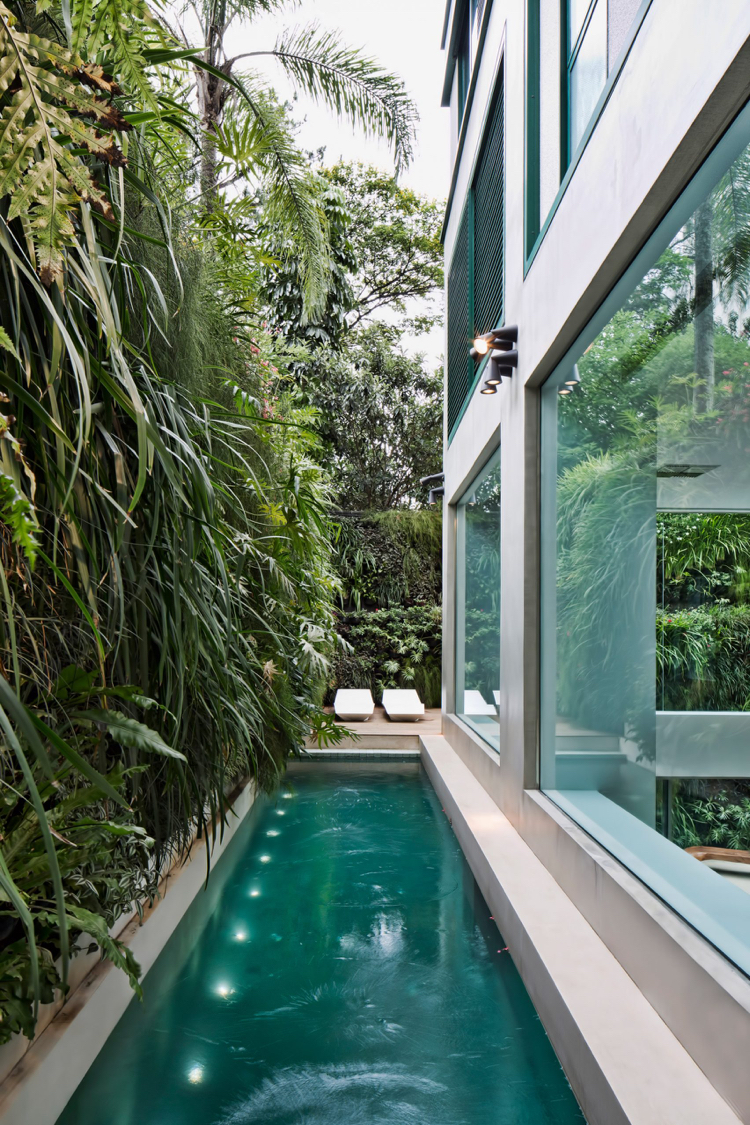 iluminação de parede de plantas verdes de piscina estreita