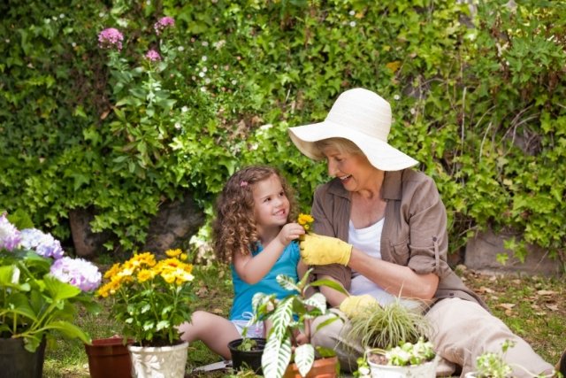 Calendário lunar para jardinagem, avó, neto, menina, flores