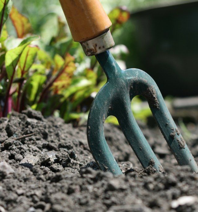 Siga dicas de jardinagem para melhores colheitas