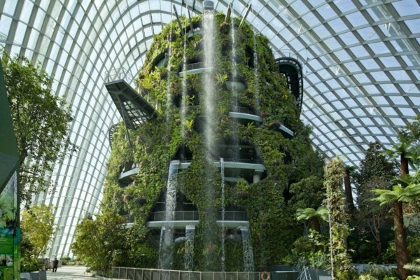 Horticulture-botanical-gardens-singapore