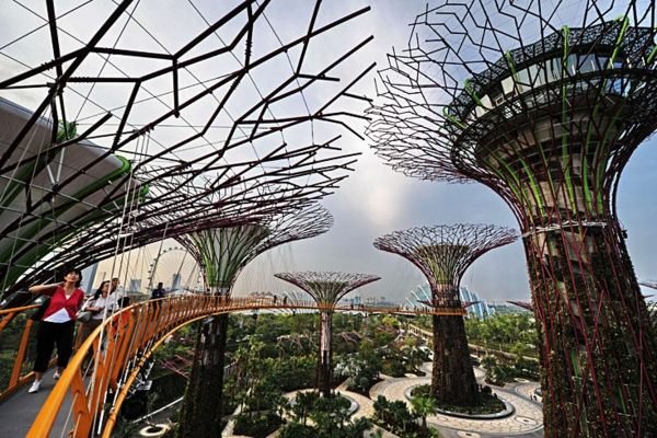 Bay-South-Garden-Super-Trees-Singapore