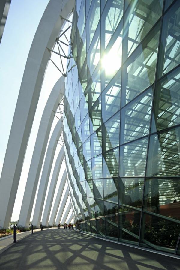 Arquitetura de vidro da Cloud Forest Singapore