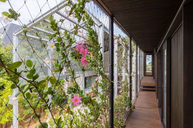 casa com anexo casa de donzela de ferro quarto passarela de treliça plantas trepadeiras flores piso de madeira