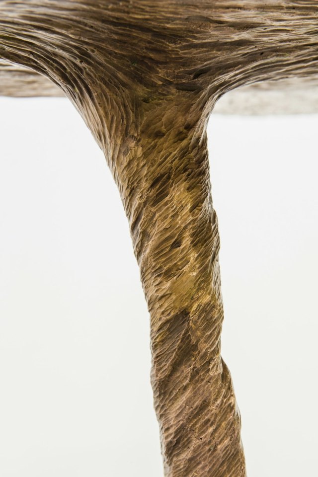 Pernas de galhos de árvores douradas rústicas têm um belo design