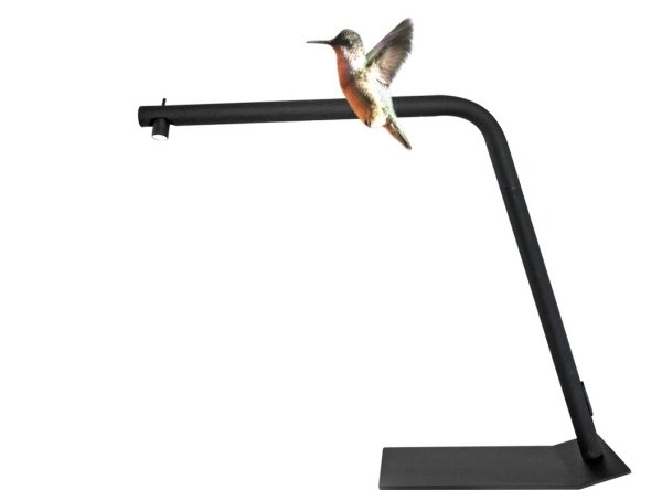 Candeeiro de mesa colibri designer candeeiro de mesa LED