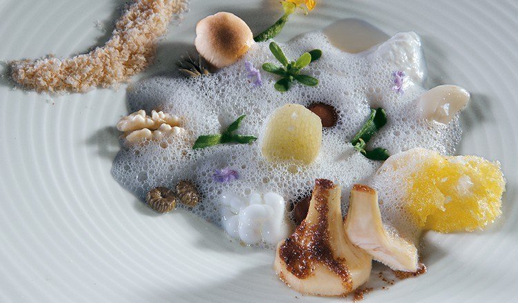 os melhores chefs com estrela Michelin classificam os melhores especialistas em culinária restaurateurs de todo o mundo ferran adriá pratos de espuma