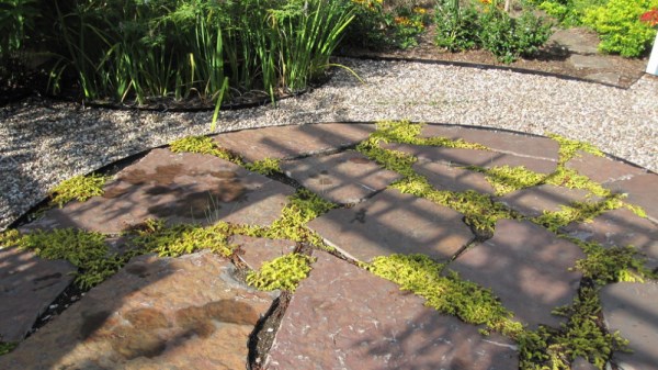 Criando um jardim sombreado Dicas Idéias de plantio