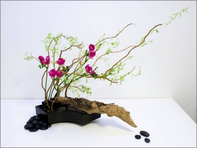 ikebana flor arte flores organizar significado específico do símbolo