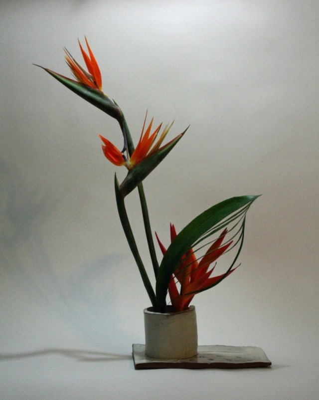 ikebana especialmente combinados entre si criam um arranjo interessante