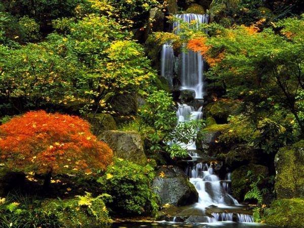 Cachoeira mágica no jardim japonês