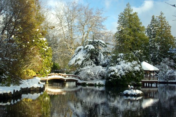 Jardim zen japonês no inverno