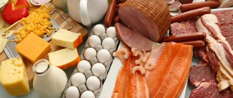 pontos dieta proteínas ovos carne presunto queijo leite