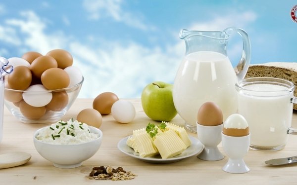 Alimentos protéicos perdem peso de forma rápida e eficaz com leite, ovos e queijo
