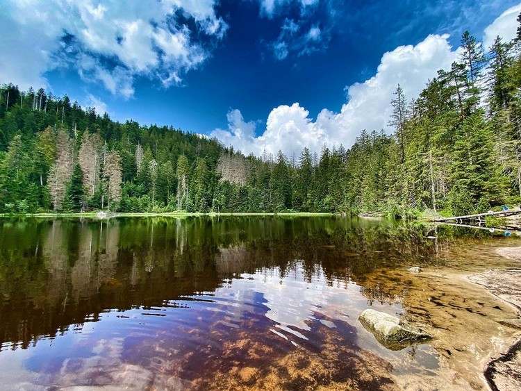 Férias na Alemanha na natureza atrações do parque natural da Floresta Negra