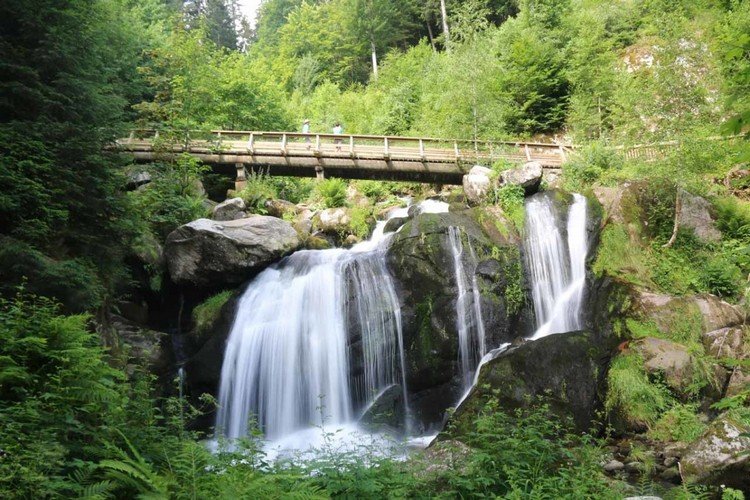Cachoeiras de Triberg na Floresta Negra da Alemanha com vista para a natureza