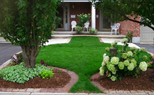 Idéias de gramado ornamental para design de jardim frontal aberto sem cerca