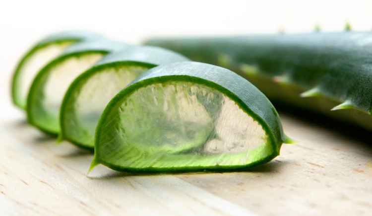 Gel de aloe vera contra caspa e queda de cabelo