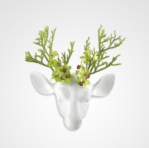 Vaso de bucky - chifres de veado - vaso de parede com design elegante