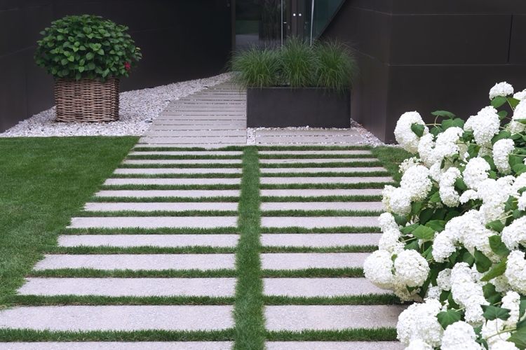 hortênsias brancas em flor no jardim moderno