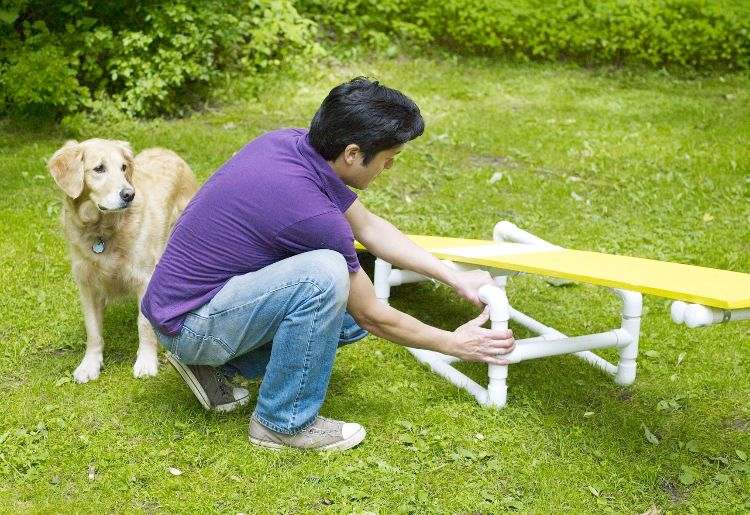 agility parcour diy dog ​​parcour construa você mesmo crie uma posição de gangorra Uma placa de madeira nas pernas de apoio com uma barra
