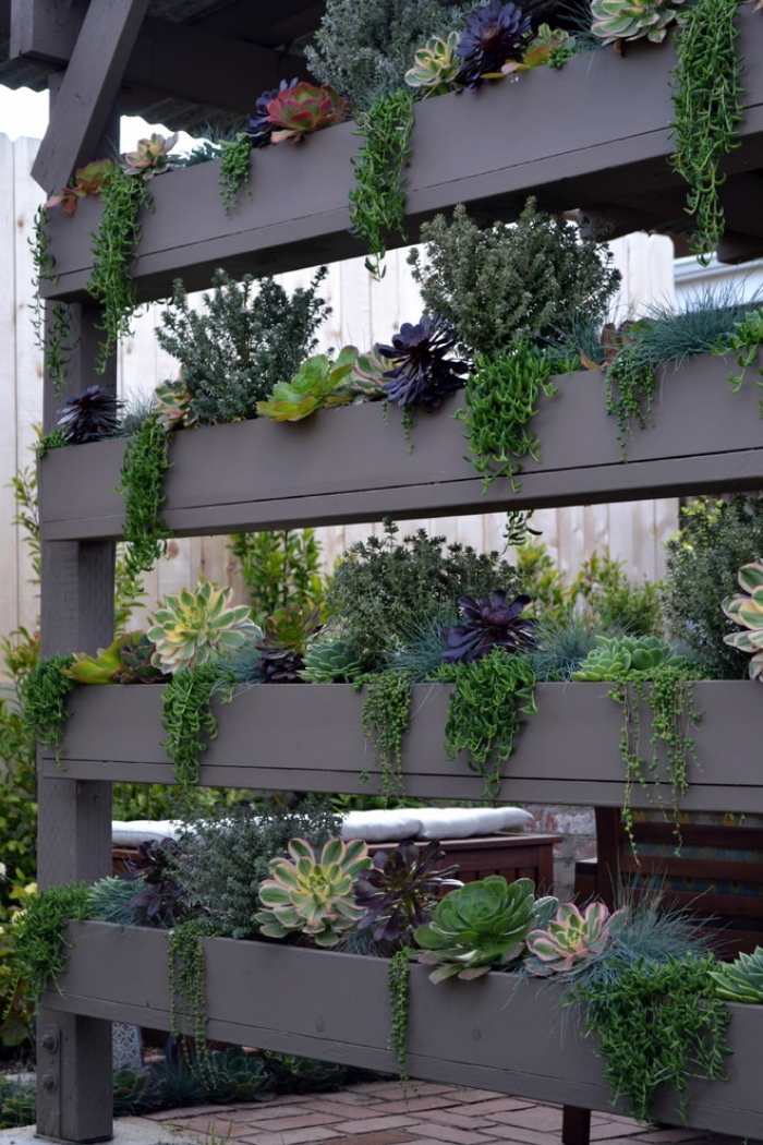Divisória-faça-você-mesmo-tela-privacidade-para-terraço-prateleira-de-parede-verde-com-suculentas