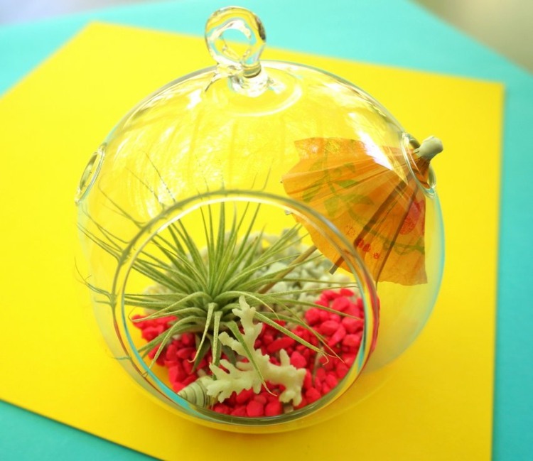 terrário planta diy aquário seixo vermelho coral graeser tela