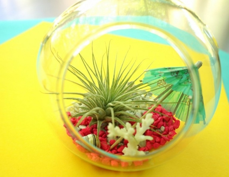 planta terrário diy bola de vidro design decoração ideia apartamento arranjo