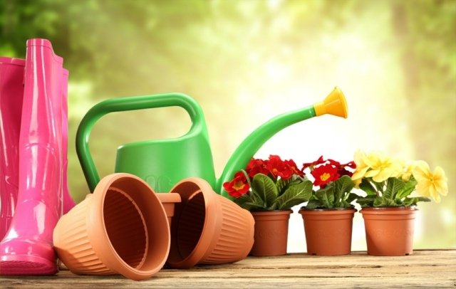 faça você mesmo fertilizante regador vasos flores botas de borracha