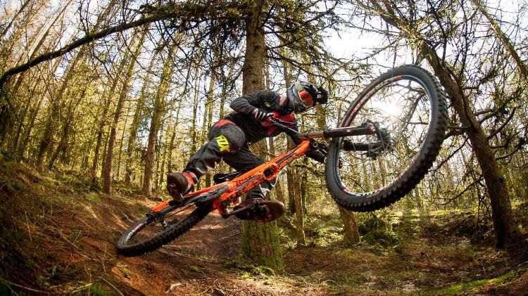 downhill bike dicas de compra mountain bike downhill extrema floresta