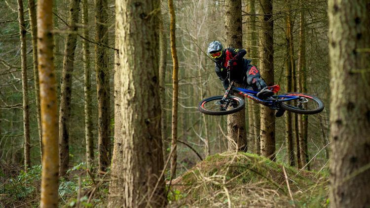downhill bike dicas de compra mountain bike descida salto floresta
