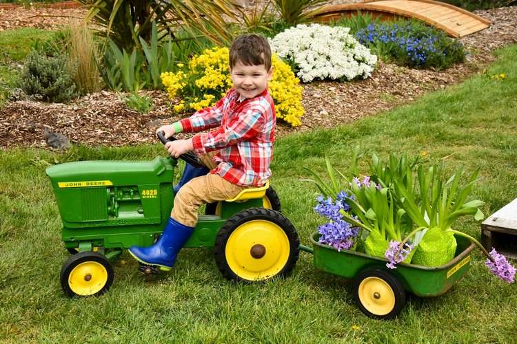 Promovendo o crescimento de plantas em um jardim orgânico Dicas