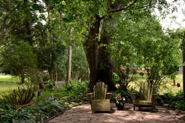 Árvore para cadeiras de jardim design interessante