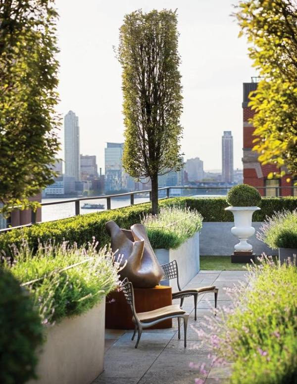 terraço com jardim na cobertura com árvores modernas