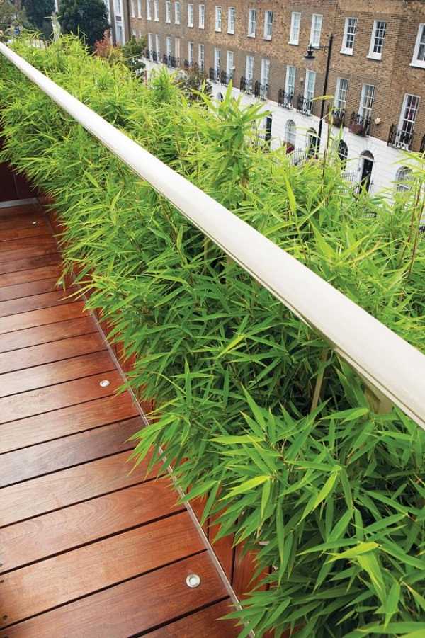 terraço com jardim na cobertura com bambu moderno