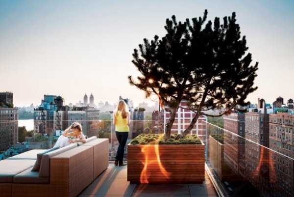 terraço com jardim na cobertura com vista moderna