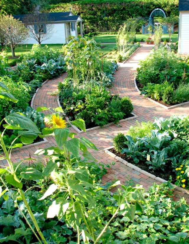 Horta no outono informações importantes jardim caminhos tempo
