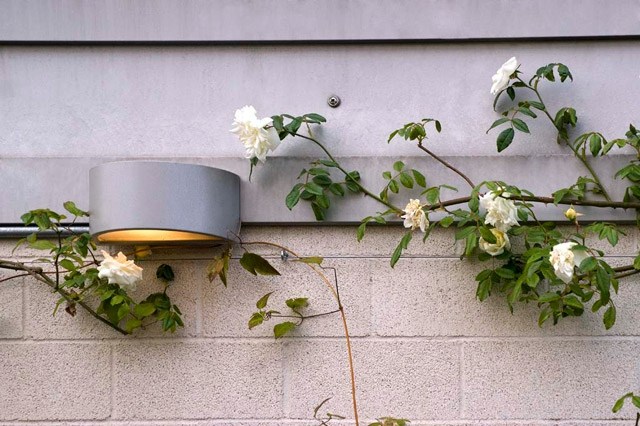 Projete ideias para terraço na cobertura, privacidade, proteção, rosas, flores brancas