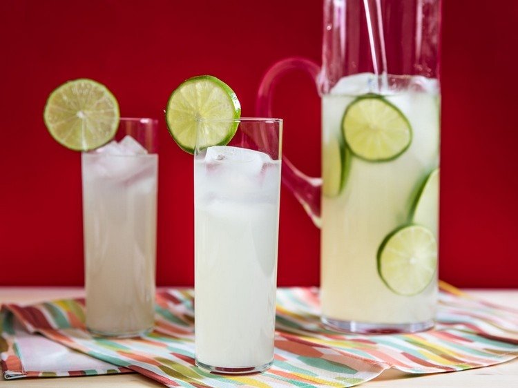 bebidas refrescantes primavera verão deliciosas ideias saudáveis ​​receitas