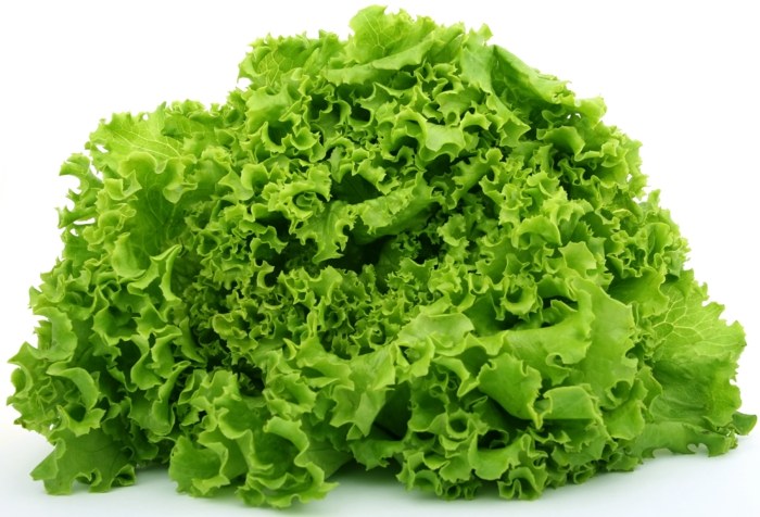 folha de alface salada de primavera comer dieta saudável