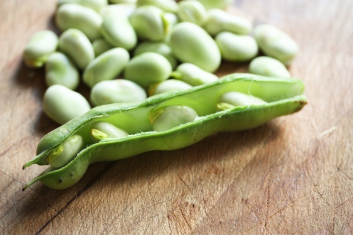 leguminosas nutrição da primavera feijão salada verde dieta saudável