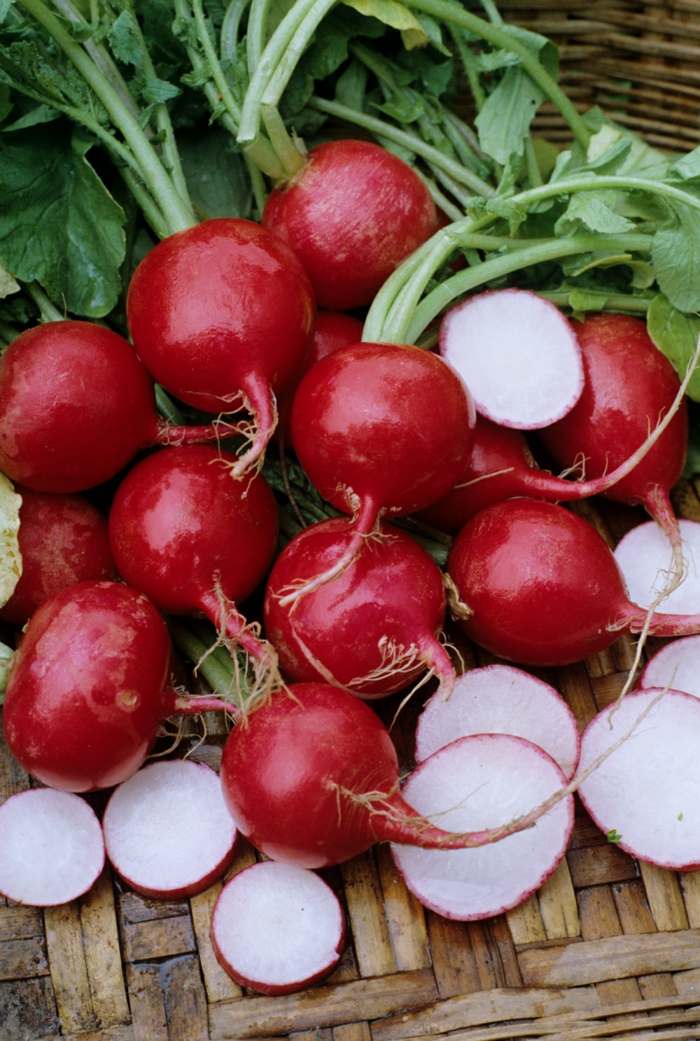 rabanetes vegetais salada saudável nutrição primavera vermelha