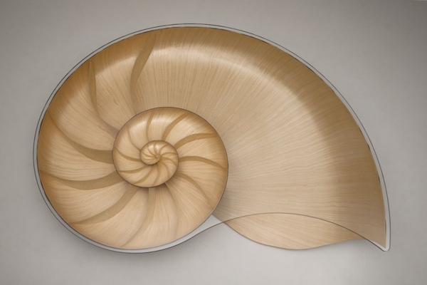 mesa de design em forma de nautilus vista de cima